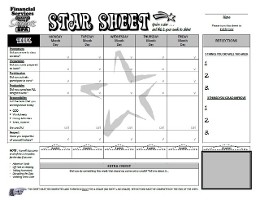 STAR Sheet